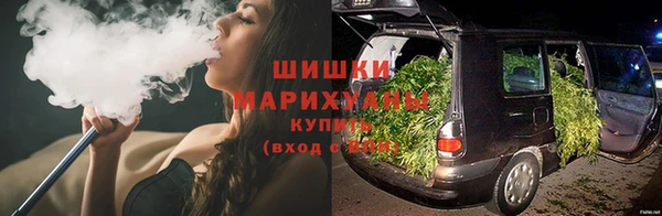 дмт Осинники