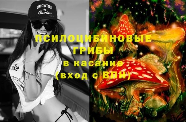 прущие грибы Алексин