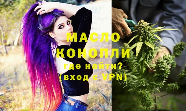 дмт Осинники