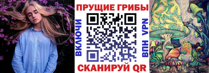 как найти закладки  Бахчисарай  Псилоцибиновые грибы Cubensis 